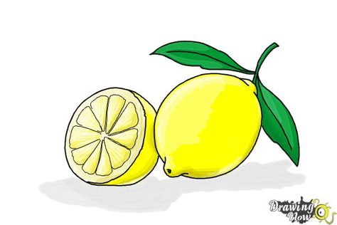 How to Draw a Lemon - Step 13 Draw A Pirate Ship, Lemon Outline, Draw A Lemon, Tree Drawing For Kids, Lemon Drawing, Diy Lemonade Stand, Drawing Steps, Easy Step By Step Drawing, Venom Art