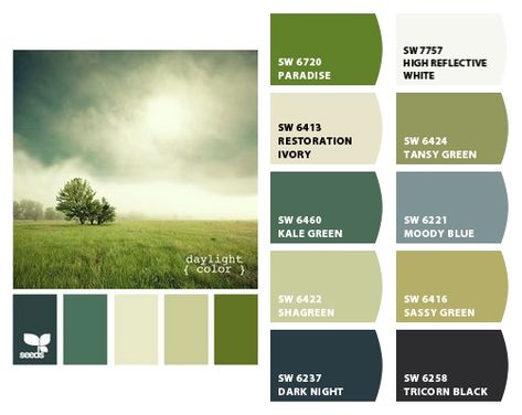 Sherwin Williams Green, Interior Paint Colors For Living Room, Brown Living Room Decor, Door Paint Colors, Exterior Paint Colors For House, Living Room Decor Ideas, Brown Living Room, Interior Paint Colors, Paint Colors For Living Room