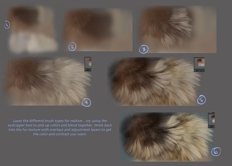 Fur Shading, Fur Tutorial, Canine Drawing, Cat Anatomy, Digital Art Beginner, Wildlife Paintings, Sketches Tutorial, Digital Painting Tutorials, Arte Fantasy