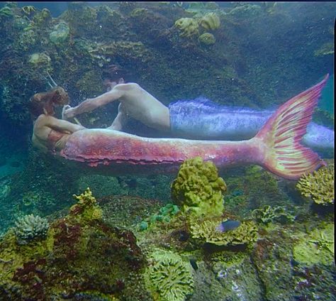 H2o Mermaid Tails, Realistic Mermaid Tails, Realistic Mermaid, Mermaid Stories, Mermaid Photography, Silicone Mermaid Tails, H2o Mermaids, Pretty Mermaids, Fantasy Mermaids