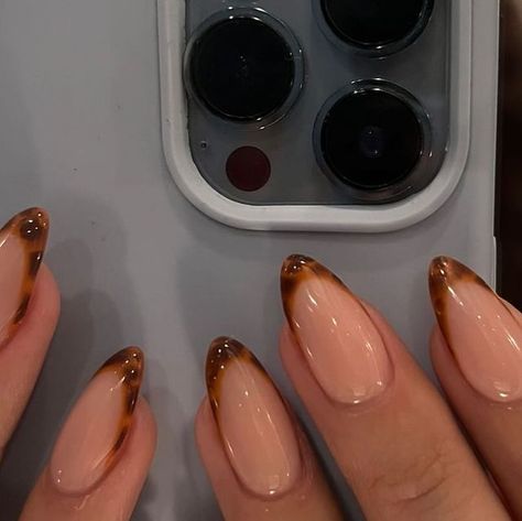 GOLDEN BEAUTY on Instagram: "Tortoiseshell love 🤎  #tortoiseshellnails #acrylic" Nail Art Oval Shape, Cute Turkey Nails, Tortishell Nails Design Almond, Tortoise Shell Nail Designs, Tortoshelle Nails, French Tortoise Nails, Turtle Shell French Tip Nails, Tortoise French Nails, Tortoise Nails Design French