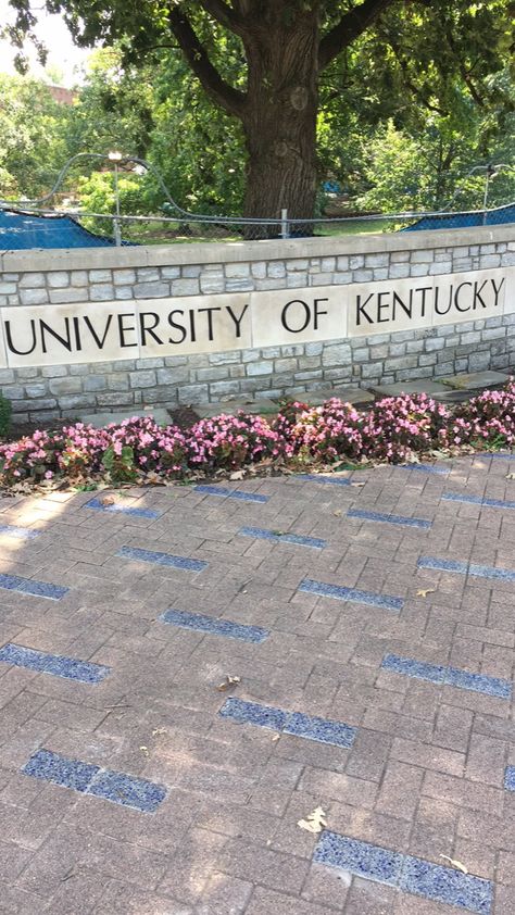 University Of Kentucky Aesthetic, Academia Barbie, University Of Kentucky Campus, City Life Aesthetic, Kentucky University, Kentucky Sports, Life Goals Future, Big Blue Nation, Bleed Blue