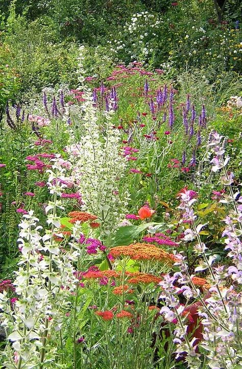 , Praire Gardens, Romantic Gardens, Meadow Field, Hippie Garden, Backyard Gardens, Garden Plan, Wild Garden, Farm Garden, Italian Garden