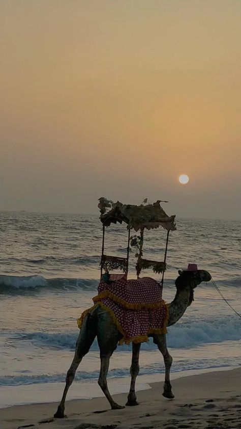 Gujrat Aesthetics, Gujarati Culture Aesthetic, Dwarka Aesthetic, India Asthetic Pics, Gujju Aesthetic, Gujarati Aesthetic, Gujarat Aesthetic, Gujarat Culture, Gujarati Culture