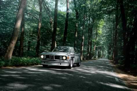 Car In Forest, 2014 Forest Hills Drive Wallpaper, Van In Forest, Car In Forest At Night, Car Driving Through Forest, Road Through Forest, Forest View, Forest Road, Pine Forest