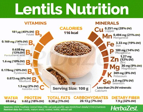 Benefits Of Lentils, Lentils Nutrition, Lentils Benefits, Garlic Health, Food Chemistry, Herbal Store, Food Health Benefits, Pantothenic Acid, Essential Nutrients