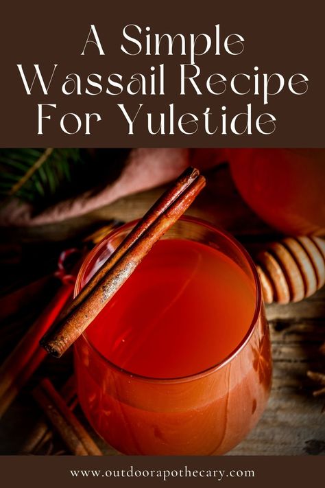 Wassail Recipe Non Alcoholic, Winter Solstice Brew, Non Alcoholic Wassail, Wassail Dry Mix Recipe, Alcoholic Wassail Recipe, Christmas Wassail Recipe, Wassail Mix Dry, Christmas Wassail, Twelfth Night Celebration