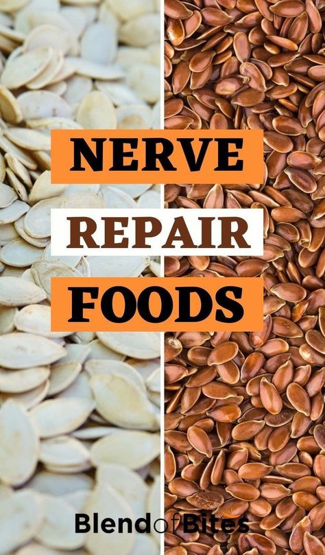 Nerve damage leads to neuropathy, a medical condition that challenges patients in performing tasks in their daily life. The damaged nerves make life painful. You can easily nourish your damaged nerves with these foods. There are also supplements from which you can get the same nutrients. Check out the nerve repair foods at www.blendofbites.com | healthy food Healthy Food For Nerves, Nerve Healing Foods, Nerve Damage Remedies, Food For Nerves, Herbs For Nerves, Trigeminal Nerve Pain Relief, Herbs For Nerve Pain, Essential Oils For Nerve Damage Repair, Natural Remedies For Nerve Damage