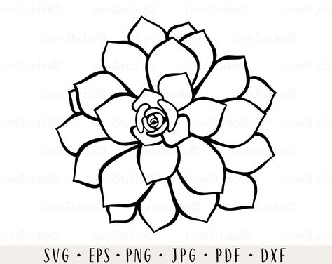 Succulent Svg, Cactus Svg, Sunflower Mandala, Sunflower Clipart, Coffee Cup Design, Floral Decal, Sunflower Png, Shirt Sublimation, Pantry Labels