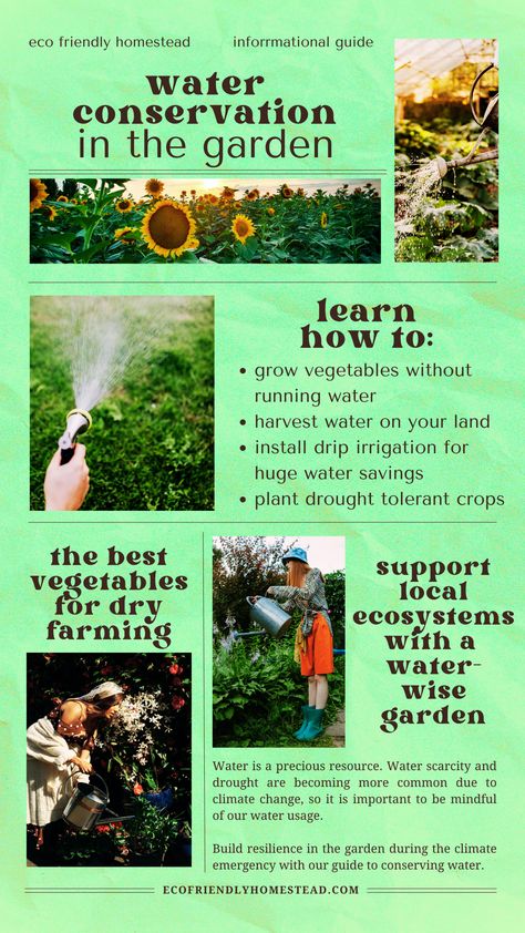 dry gardening for drought resilience Diy Rain Barrel, Irrigation Methods, Soil And Water Conservation, Fruit Growing, All About Water, Waterwise Garden, Vegetables To Grow, Water Scarcity, Saving Water