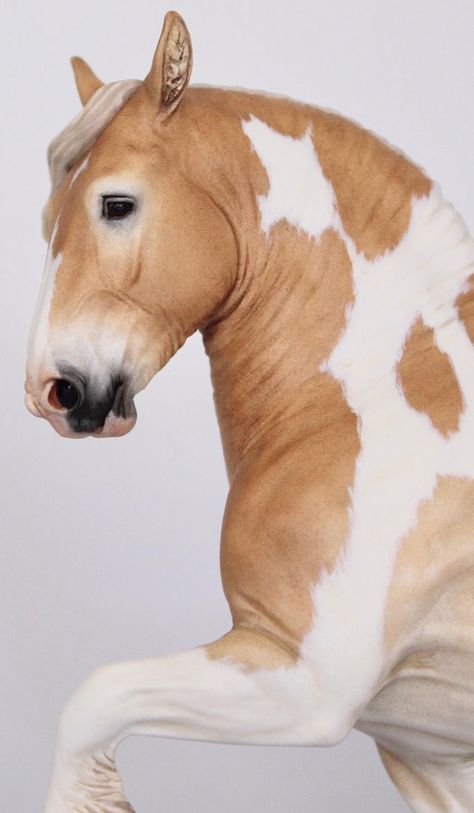 Model Horse Diorama, Breyer Horse Photography, Breyer Horse Display, Horse Jokes, Bryer Horses, Horse Markings, Horse Shelter, Breyer Horse, Horse Inspiration