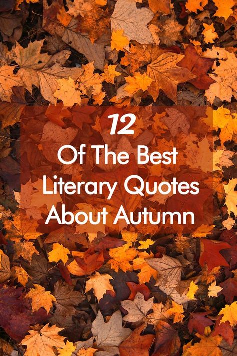 Sweater weather, pumpkins, and the books of fall… It’s no wonder bibliophiles love autumn. To celebrate the season when the leaves fall from the trees, here are 12 of the best literary quotes about autumn. #QuotesaboutAutumn #QuotesAboutFall #Autumn #Fall #Quotestoliveby Autumn Literature Quotes, Fall Begins Quotes, Fall Literary Quotes, Autumn Poems Quote, Autumn Words Aesthetic, Autumn Book Quotes, Poems About Fall Autumn, Fall Garden Quotes, Fall Is In The Air Quotes