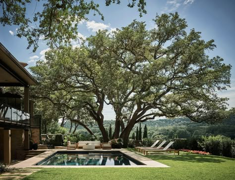 A beautifully reimagined lake house boasts serene views over Lake Austin France House, Vineyard House, Raised Ranch, Austin House, Awesome Houses, Designer Homes, Ranch Ideas, Lake Austin, House Mood Board