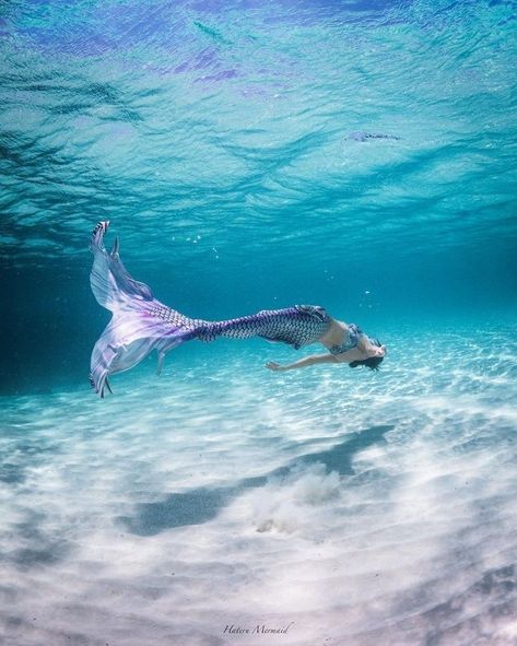 Fish Mermaid, Mackerel Fish, Mermaid Photography, Silicone Mermaid Tails, Mermaid Man, Mermaid Cove, Mermaid Photos, Fantasy Mermaids, Mermaid Swimming