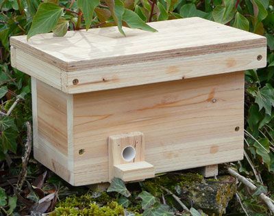 If you’ve made or purchased a bumble bee box, you are probably wondering where to put it and how to attract tenants. I’ve scanned dozens of documents looking for the secret formula and learned that... Bumble Bee Nest, Bee Hive Plans, Bee Houses, Bug Hotel, Mason Bees, Insect Hotel, Bee House, Bee Boxes, Bee Garden