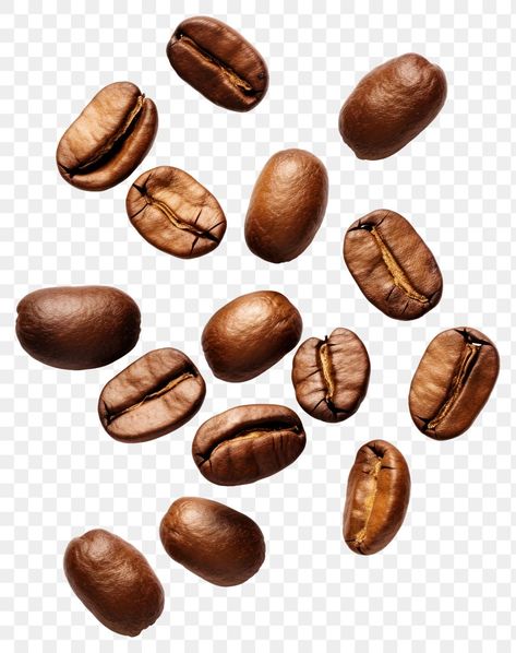 Coffee Elements, Coffee Beans Aesthetic, Coffee Bean, Coffee Png Aesthetic, Coffee Beans Illustration, Coffee Bean Branding, Coffee Bean Logo, Coffee Transparent Background, Coffee Bean Graphic