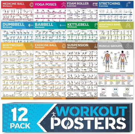 Review: Grand Basics 12 Pack Laminated Workout Poster Set - fullSTEAMahead365 Muscle Groups To Workout, Gym Posters, Gym Dumbbells, Fitness Tracker Printable, Medicine Ball Workout, Gym Poster, Home Gym Exercises, Barbell Workout, Gym Workout Chart