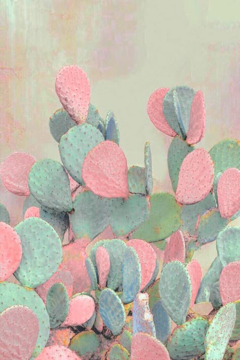 dental babes love desert vibes! Bd Design, Cactus Wedding, Blue Cactus, Cactus Painting, Desert Vibes, Cactus Art, Pastel Wallpaper, Pics Art, Cacti And Succulents