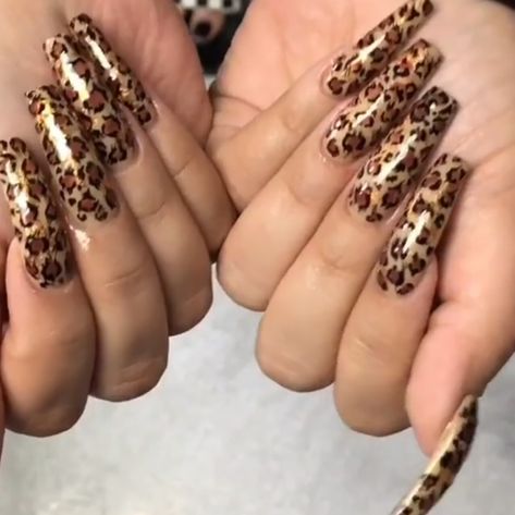 Hello Kitty Hairstyles, Jewelry Latina, Dresses Coquette, 90s Rap Aesthetic, January Fashion, Cheetah Print Nails, Punk Nails, Leopard Print Nails, Goth Nails