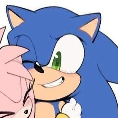 Sonic Amy Matching Pfp, Sonic X Amy Matching Pfp Couple, Sonamy Matching Pfp, Sonamy Pfp, Sonamy Matching Icons, Sonic And Amy Matching Pfp, Icons Sonic, Sonic Pfps, Sonamy Comic