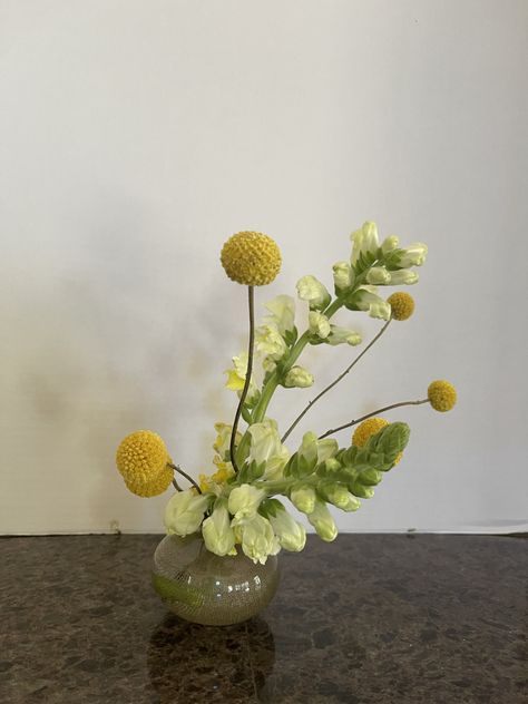 Snap Dragon Arrangement, Snapdragon Flower Arrangement, Tswana Wedding, Bedroom Nyc, Snap Dragon, Snapdragon Flowers, 2023 Mood, Summer Florals, Italian Wedding