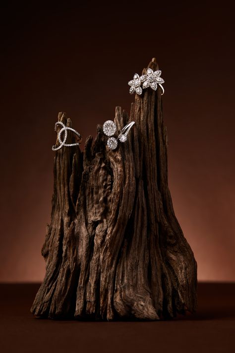 Jewellery Photography by Karan Gill. Rustic browns with rings on driftwood. Luxury Jewelry Product Photography, Rings Product Photography, How To Photograph Jewelry, Jewelry Product Photography, Driftwood Photography, Luxury Advertising, Logo Bee, Jewellery Advertising, Jewelry Product Shots