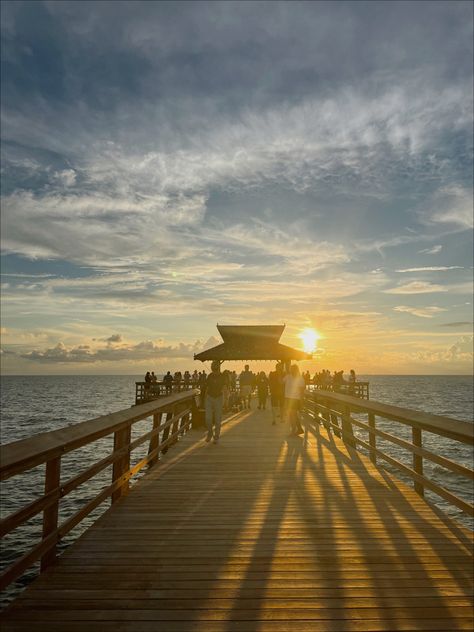 Pier.  Florida. Beaches. Naples beaches. Naples florida beaches. Pier. Ocean view. Sunset. Beach sunset. Naples Pier, Naples Beach, View Sunset, On The Ocean, Naples Florida, Sunset Beach, Florida Beaches, Gulf Coast, Beach Sunset