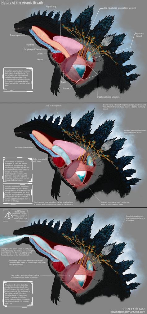 Monster Verse, Godzilla Funny, Animal Quiz, Kaiju Design, Godzilla Comics, Godzilla Wallpaper, All Godzilla Monsters, Creature Artwork, Kaiju Art