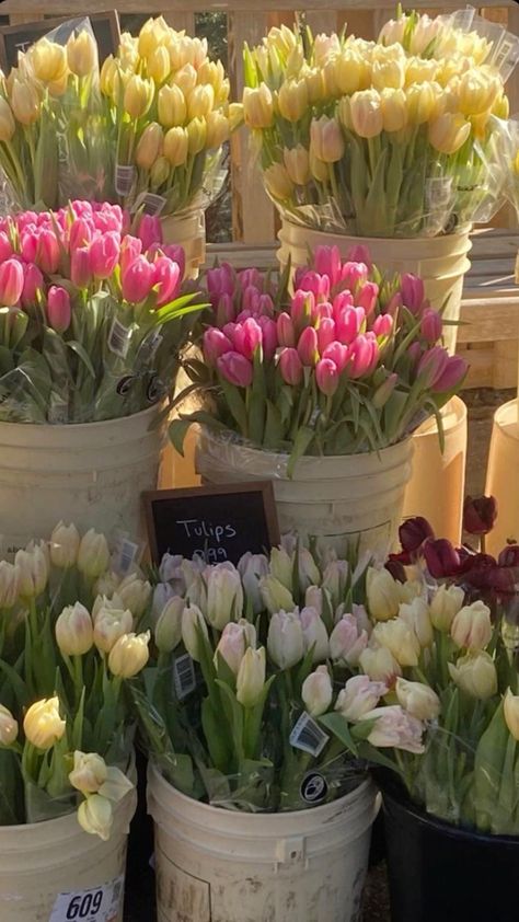 Boquette Flowers, Nothing But Flowers, Flower Therapy, Spring Aesthetic, Spring Vibes, Flower Market, Flowers Nature, Love Flowers, My Flower