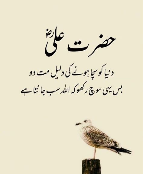 🌷🥰 Mola Ali Quotes In Urdu, Mola Ali Quotes, Islamic Writes, Islamic Motivational Quotes, Islamic Urdu Quotes, Hazrat Ali Quotes In Urdu, Islamic Dp Quotes, Hazrat Ali Quotes, Islamic Quotes In Urdu