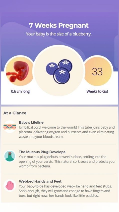 All you need to know about baby development and your well-being at 7 week of pregnancy. Go to our website. #7weekpregnancy #pregnancyweekbyweek #pregnant #pregnancy 7weeks Pregnant, Mucous Plug, Baby Development In Womb, 7 Weeks Pregnant, 21 Weeks Pregnant, Stages Of Baby Development, Baby Development Chart, Baby Development Milestones, Pregnancy Facts