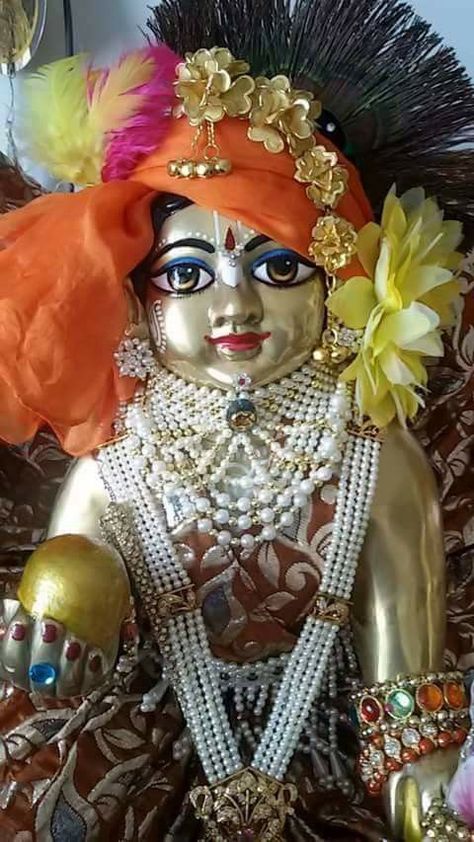 Lord Krishna Birthday, Sri Krishna Janmashtami, Krishna Birthday, Janmashtami Celebration, Iskcon Krishna, Krishna Avatar, Janmashtami Decoration, Radha Krishna Songs, Krishna Statue