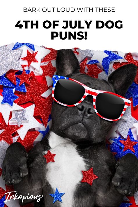 Bark Out Loud With These 4th of July Dog Puns! Fourth Of July Puns, 4th Of July Puns, July Captions, Pet Puns, Dog Instagram Captions, Dog Boutique Ideas, Dog Puns, 4th Of July Photos, Patriotic Dog