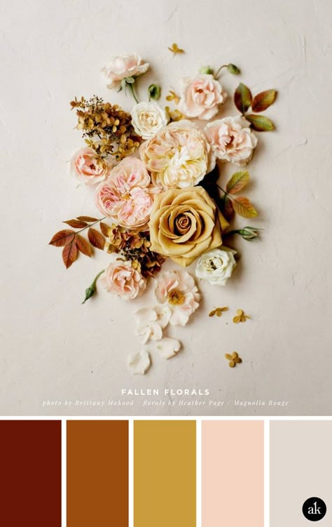 a floral-flat-lay-inspired color palette // burnt sienna, gold, peach, taupe // Magnolia Rouge Sienna Colour Palette, Rust Peach Color Palette, Fall Floral Color Palette, Sienna Color Palette, Peach Olive Color Scheme, Burnt Ochre Color Palette, Sienna Color, Rusty Pink Color Palette, Earthy Blush Color Palette