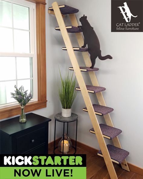 Cat Ladders, Katt Grejer, Cat Ladder, Cat Stairs, Cat Patio, Diy Cat Tree, Diy Ladder, Cat Wall Furniture, Cat Steps