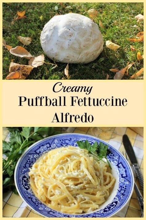 Giant Puffball Mushroom Recipe, Mushroom Fettuccine Alfredo, Backyard Foraging, Forage Recipes, Mushroom Fettuccine, Mushrooms Pasta, Pasta Fettuccine, Puffball Mushroom, Mushroom Alfredo