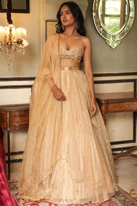 Lehenga And Blouse, Gold Organza, Gold Lehenga, Simple Lehenga, Organza Lehenga, Indian Outfits Lehenga, Gaun Fashion, Indian Dresses Traditional, Traditional Indian Outfits