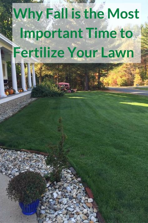 Reseeding Lawn, Overseeding Lawn, Dethatching Lawn, Fall Lawn Care, Lawn Repair, Fall Lawn, Lawn Food, Bermuda Grass, Deep Freeze