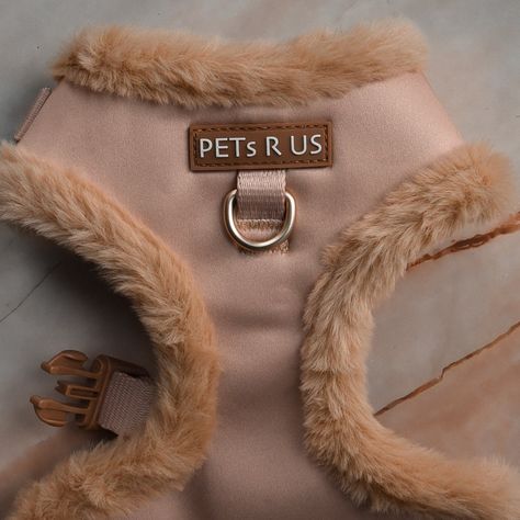 Website Design Inspiration Layout, Pet Harness, Website Design Inspiration, Dog Collars, Dog Harness, Beige Brown, Collar And Leash, Chicago Il, Fur Trim