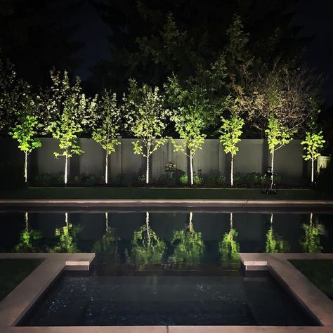 Pool At Night, Privacy Landscaping, Courtyard Gardens Design, Spring Nights, Reflecting Pool, Backyard Pool Landscaping, Pool Light, Courtyard Garden, Villa Design