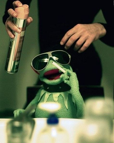 Rene Core, Sapo Kermit, Kermit Meme, Cursed Things, Kermit Funny, Miss Piggy, Kermit The Frog, 웃긴 사진, Jim Henson