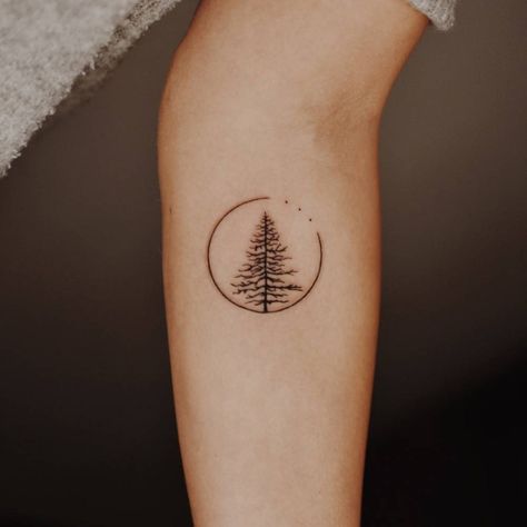 Pine Tree Tattoos, Tree Line Tattoo, Geometric Tattoo Tree, Redwood Tattoo, Small Nature Tattoo, Simple Tree Tattoo, Tree Roots Tattoo, Pine Tattoo, Tree Tattoo Men