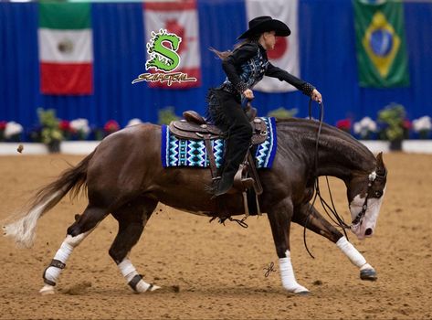 Reining Show Outfit, Ranch Riding Show Outfits, Reining Outfits, Hunter Under Saddle, Working Cow Horse, Ranch Riding, Horse Competition, Horse Markings, Horse Reining