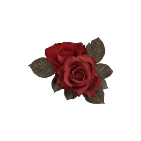 Red Rose Aesthetic, Rose Aesthetic, Aesthetic Png, Floral Stickers, Garden Photos, Red Rose, Instagram Profile, Green, Red