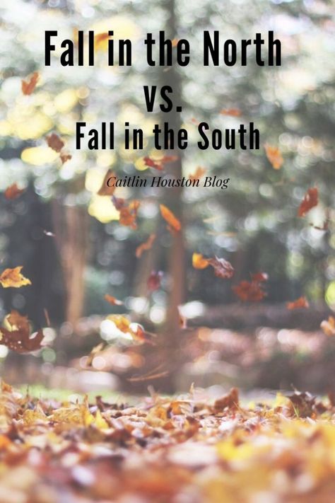 Fall In The South Humor, Fall In The South, Fall In Connecticut, New England Fall, Pumpkin Picking, Sandy Beaches, Fall Foliage, Fall Fun, Fall Season