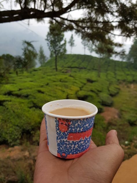 Tea #travel #explore #photography  God own country   Munnar Coorg Travel Photography, Munnar Couple Photography, Munnar Photography Ideas, Munnar Photography Travel, Munnar Photography Poses, Munnar Aesthetic, Ooty India Photography, Coorg Photography, Munnar Photography Kerala