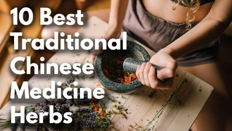 The post 10 Best Traditional Chinese Medicine Herbs For Overall Wellbeing appeared first on FoodNurish. Traditional Chinese Medicine Herbs and acupuncture therapy are fundamental parts of Traditional Chinese Medicine, a civilization well known for its better well-being first approach. Herbs in general utilized in a... The post 10 Best Traditional Chinese Medicine Herbs For Overall Wellbeing appeared first on FoodNurish. Chinese Medicinal Herbs, Traditional Chinese Medicine Herbs, Jujube Fruit, Medicine Herbs, Peony Root, Scientific Articles, Honeysuckle Flower, Western Medicine, Chinese Herbs