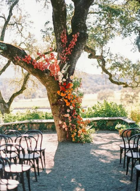 Fall Leaves Wedding Arch, Tree Ceremony Backdrop, Wedding Tree Ceremony, Wedding Tree Flowers, Flowers On Tree Wedding, Wedding Ceremony Set Up, Tree Decorations Outdoor Wedding, Tree Arch Wedding, Tree Flowers Wedding