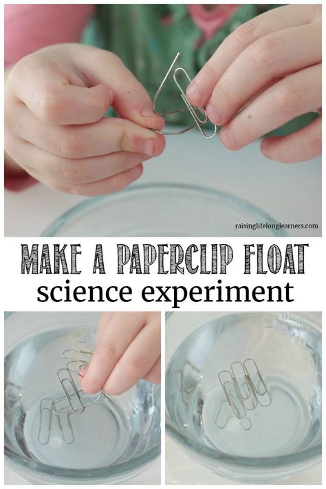 Science Activity For Kids, Water Experiments, Stem Experiments, Science Activity, Surface Tension, Kid Experiments, Science Activities For Kids, Cool Science Experiments, Preschool Science