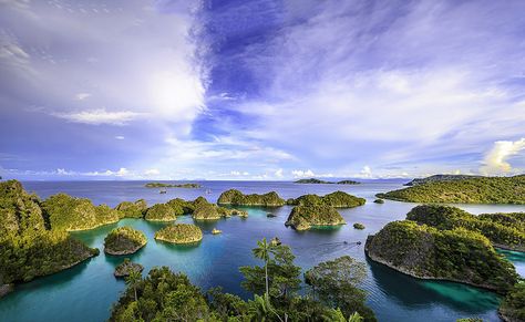 The mushroom islands in the Penemu area are surrounded by turquoise coral filled seas. Its the true embodiment of a tropical paradise Raja Ampat Islands, West Papua, Raja Ampat, Hidden Beauty, The Mushroom, Coral Turquoise, Tropical Paradise, Dream Destinations, Wonders Of The World